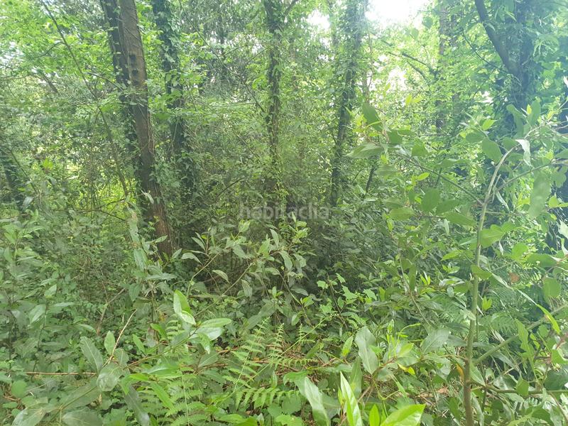 Foto 32dec90f-bedb-4908-83fe-1342cbf3733b. Finca rústica se venden dos fincas rústicas en Mugardos