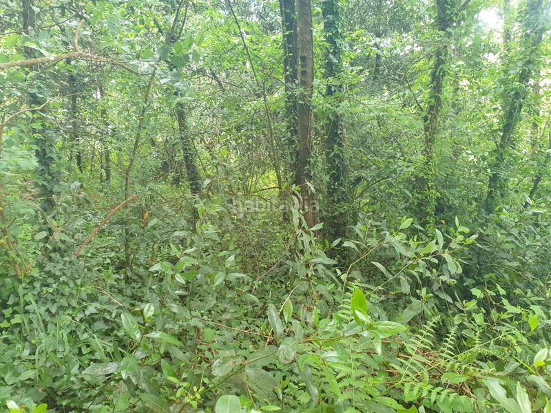 Foto 4b55c4c7-b1ec-4bbb-8a44-cde10d3d1978. Finca rústica se venden dos fincas rústicas en Mugardos