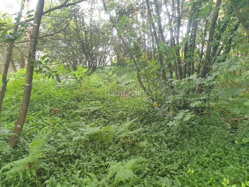 Foto 5582d57b-eed8-4155-93f9-9f20c3471bc0. Finca rústica se venden dos fincas rústicas en Mugardos