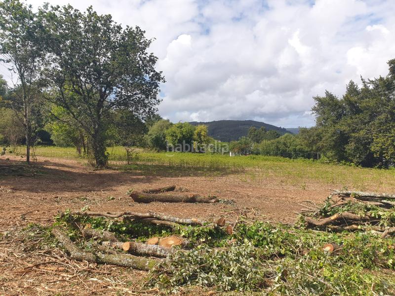 Foto ab142184-9e24-41f8-8b6e-d5556a358458. Finca rústica se venden dos fincas rústicas en Mugardos