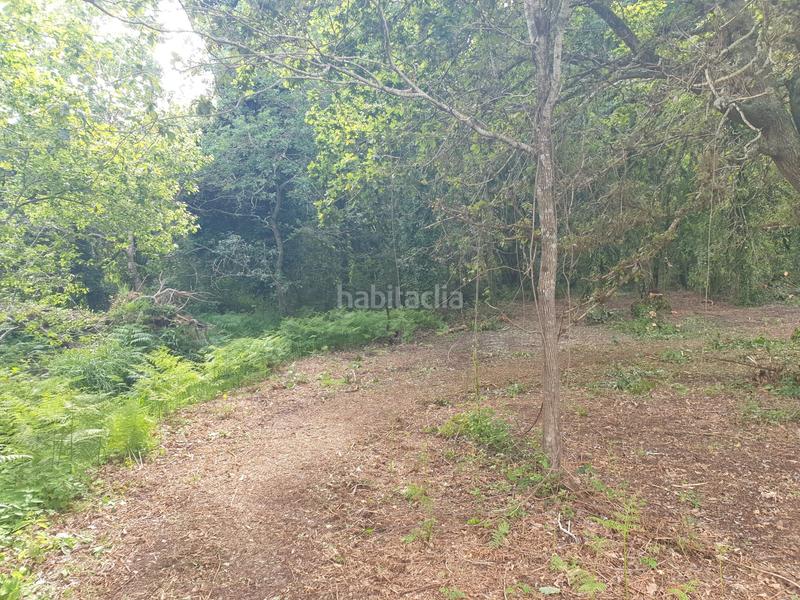 Foto dc2f0e40-7b7a-45ca-92f0-7ee5978f20c9. Finca rústica se venden dos fincas rústicas en Mugardos