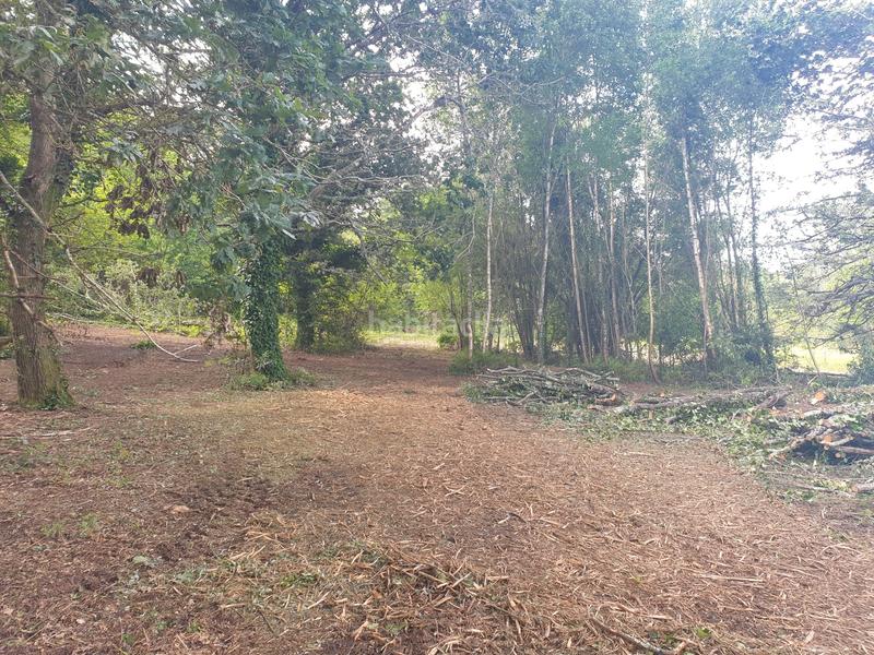 Foto e7ef0827-294d-487c-8239-b391fd5e2cc7. Finca rústica se venden dos fincas rústicas en Mugardos