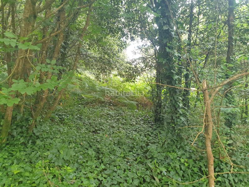 Foto f1a30fad-08c2-4ec1-8ef8-a55caedac7fd. Finca rústica se venden dos fincas rústicas en Mugardos