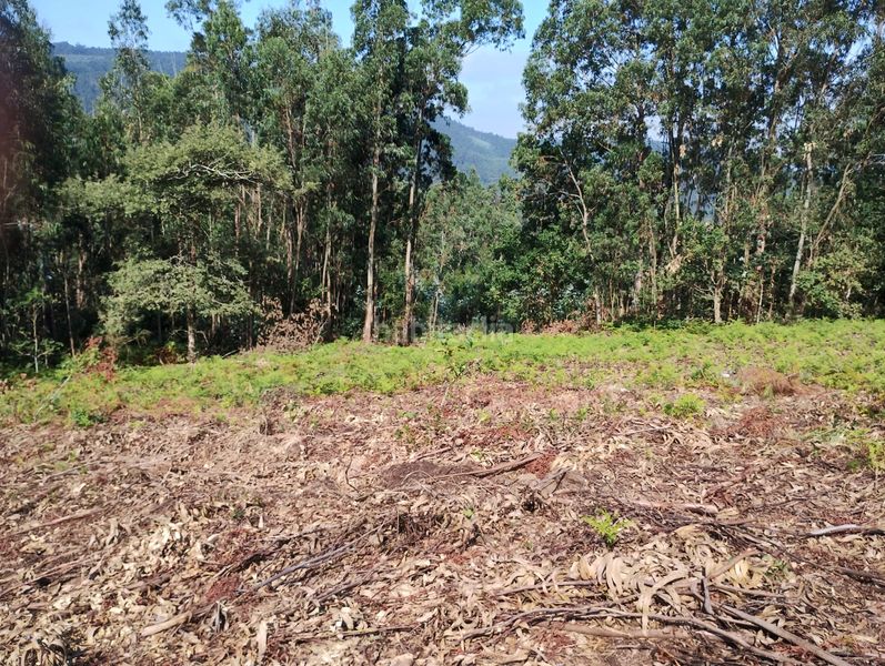 Foto 24018b93-8f63-494f-b854-94280899bdbb. Rural plot in Neda