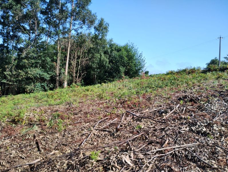 Foto 4eeb435b-5f1c-43b0-ba24-0225a5401868. Rural plot in Neda