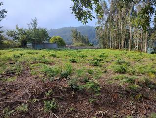 Rural plot in Neda