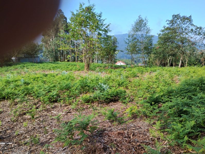 Foto b7a3f091-119f-40fb-b9c4-6f5647a22204. Rural plot in Neda