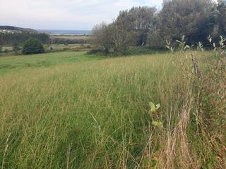 Wohngrundstück in Valdoviño