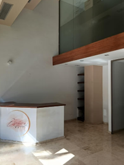 Business premise in Los Llanos - El Cabo