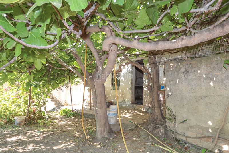 Foto 2e74496d-1cc7-4ec3-8a6c-8a17d3813d4e. Casa in n/a in Casarabonela