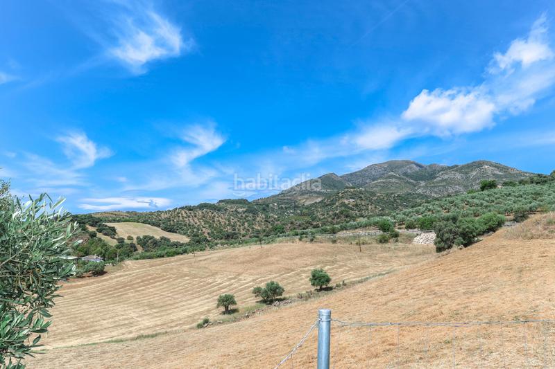 Foto 7a981e3a-7ca1-4a9a-845a-0ecf610d7f5e. Maison dans n/a dans Casarabonela