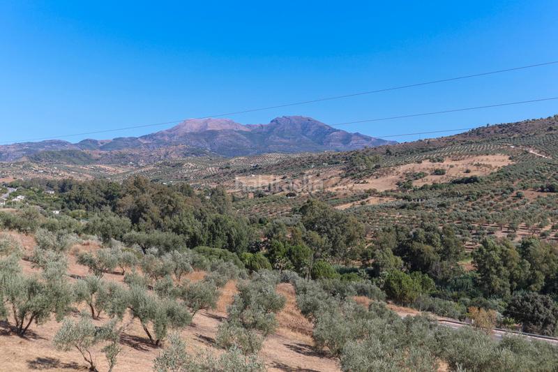 Foto 55288103-8ecb-419d-8630-3baa5e53e9b5. Masia amb aparcament piscina a Guaro