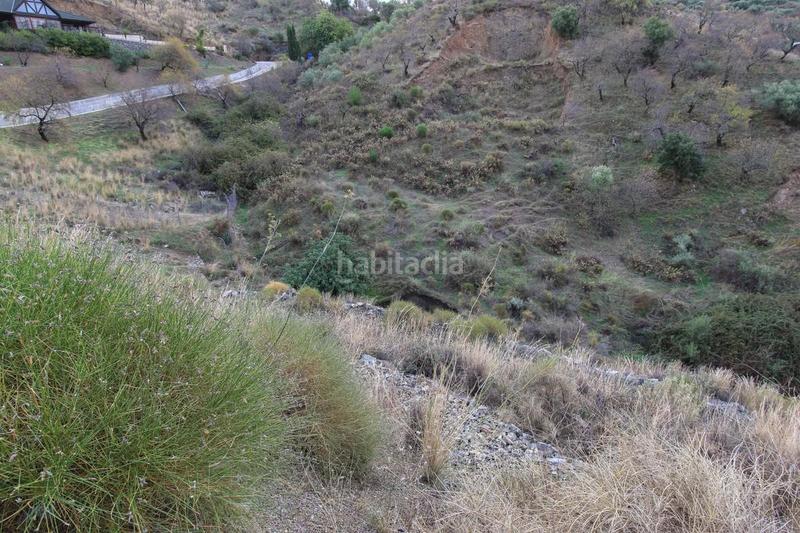 Foto 6c5bb705-43dd-4532-ad73-0c67e6f2588e. Finca rústica terreno cerca del popular pueblo . en Monda