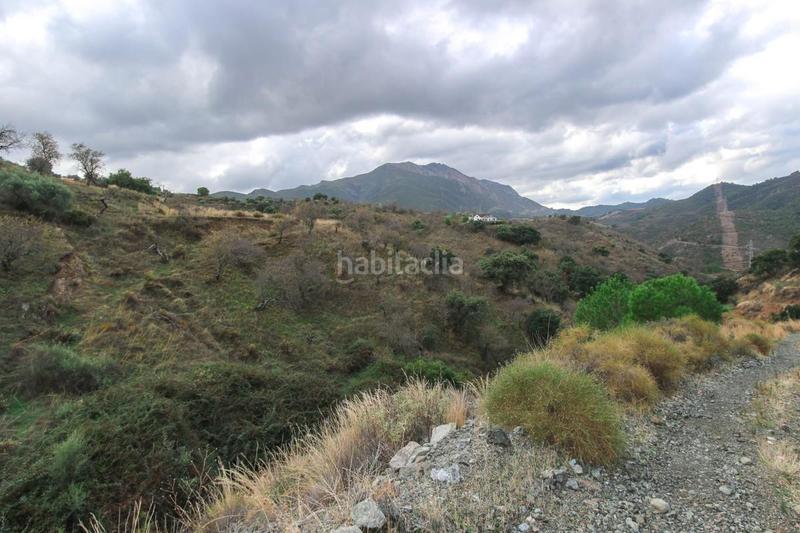 Foto da52c770-3e4f-4eef-b857-51076c52aac3. Finca rústica terreno cerca del popular pueblo . en Monda