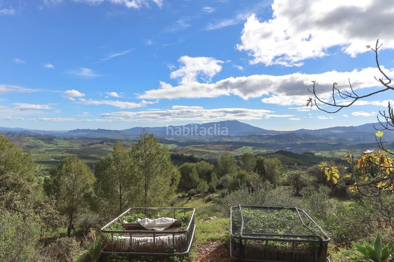 Foto 427d5794-69cd-41f1-83f1-e5a4241a4f47. Casa a Alozaina