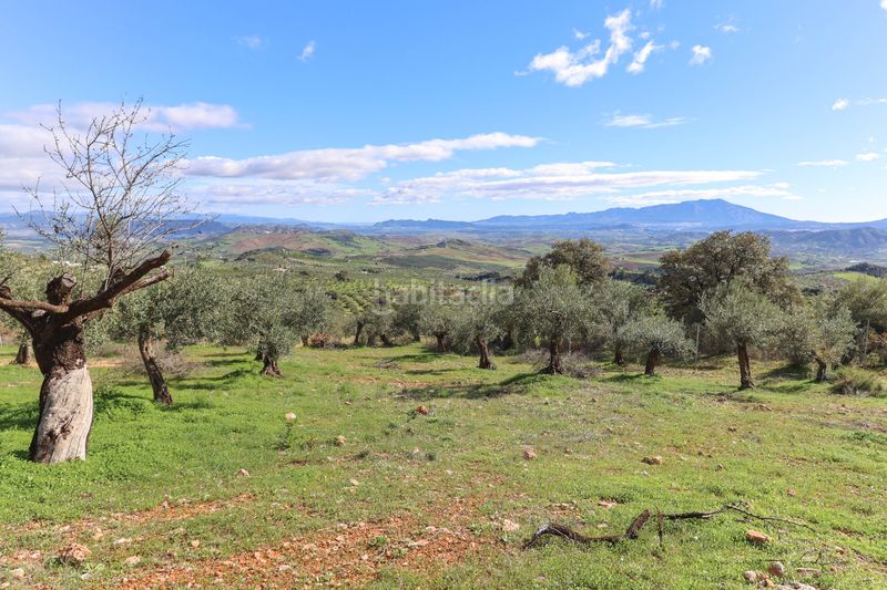 Foto ac2c9568-d663-4683-8f98-f57c83f78d87. Casa a Alozaina