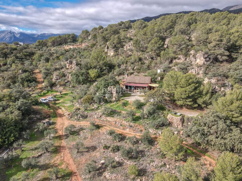Foto e90abbfb-b394-42d9-922e-e3c54f73da55. Casa a Alozaina