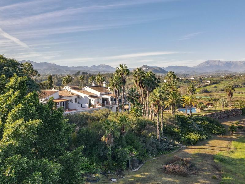 Foto 10f387ba-2aba-4be3-adb7-573db9696d3d. Casa con camino piscina in Centro Alhaurín el Grande