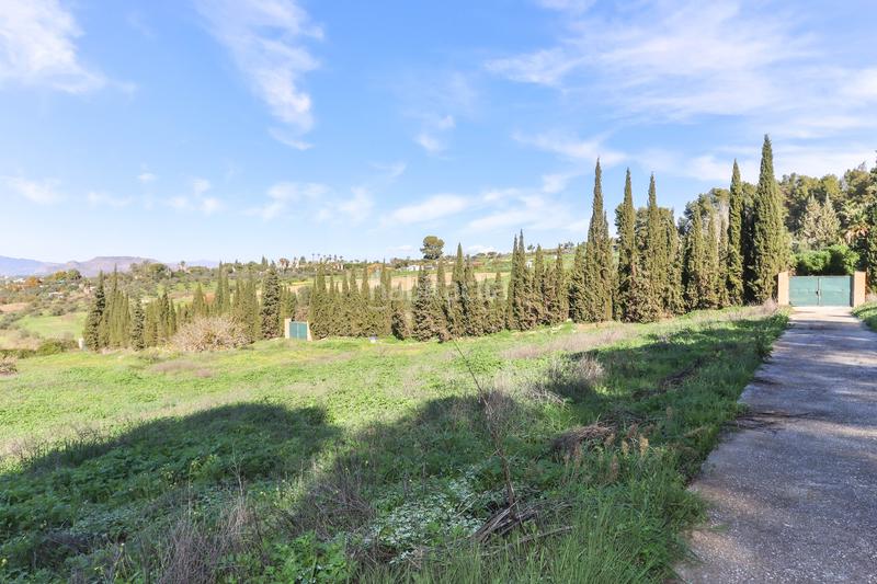 Foto 53622a61-0be8-4595-8b72-8ee379706b03. Casa con camino piscina in Centro Alhaurín el Grande