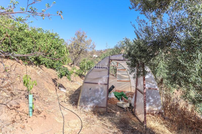 Foto 4a74218a-2a5e-4d7a-906f-ed5b0f82c05c. Casa  de campo en Guaro