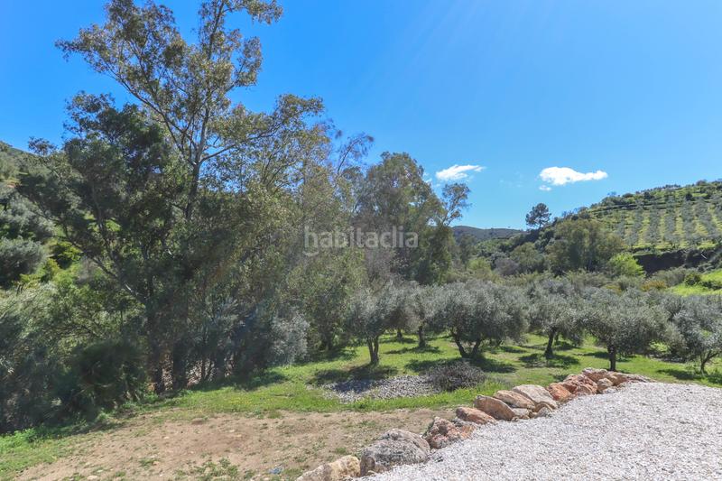 Foto 0049f3be-1c32-4eac-bb2c-fdb49f85750f. Casa finca rural con 2 unidades de alquiler en Casarabonela