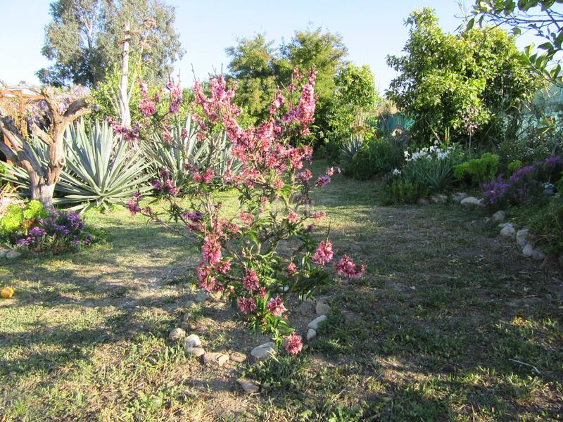 Foto 4f713bfd-6aec-4c53-ac65-aa41183b9388. Maison avec cheminée parking piscine dans Cártama