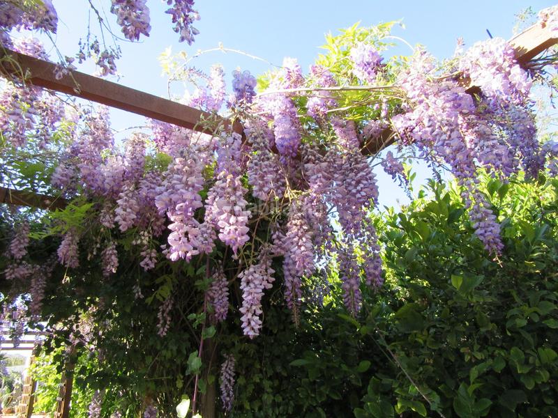Foto 591cdbf6-ef2f-434d-b22e-33e9d6055121. Maison avec cheminée parking piscine dans Cártama