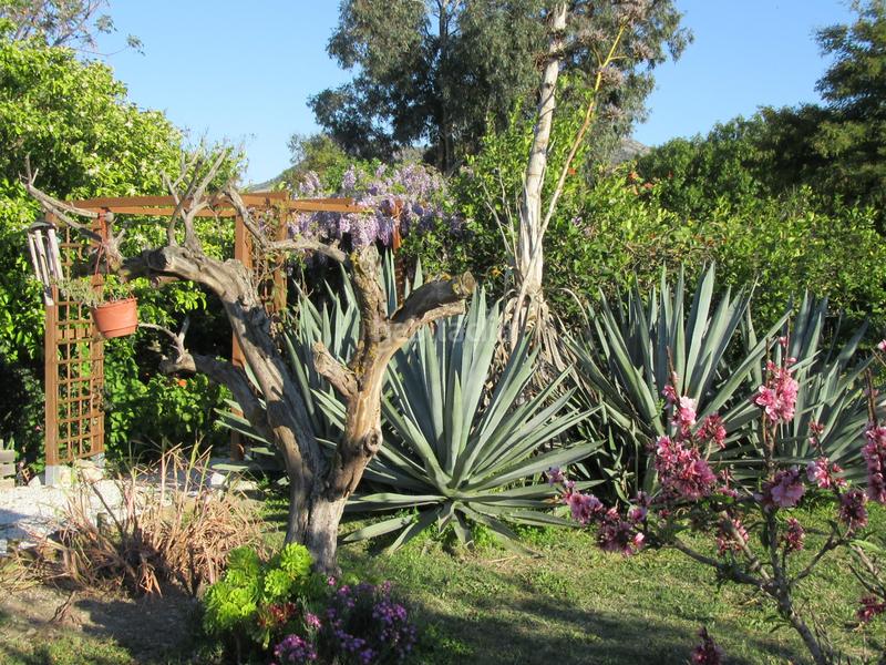 Foto b02ab31d-0a25-4a85-803e-b2de0de9d791. Maison avec cheminée parking piscine dans Cártama