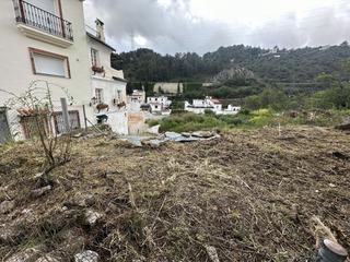 Terreny residencial  Calle luna