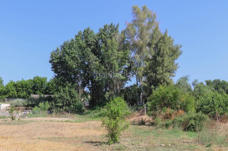 Foto 4ac344a8-a13d-4a6e-9a60-34debc487b88. Fondo rustico in Coín