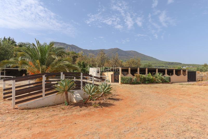 Foto 9ce607a7-52de-47ac-9db6-c4805be37156. Casa con camino piscina in Centro Alhaurín el Grande