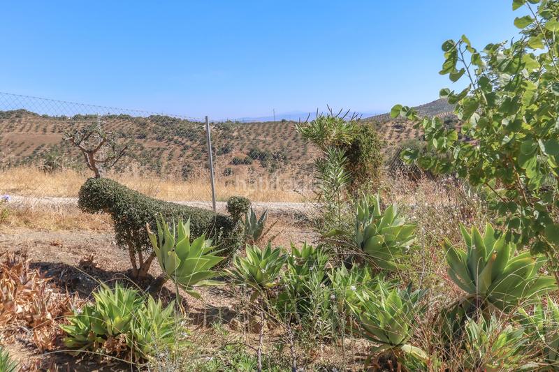 Foto 2c42b287-38cc-42e5-9f2e-2ca79beb25c3. Casa finca independiente con impresionantes vistas panorámicas en Tolox