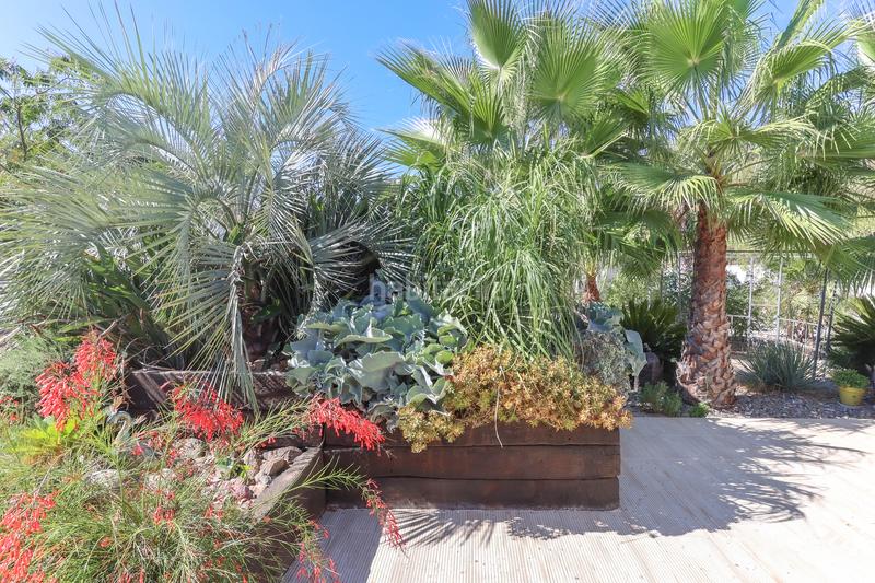 Foto efde4a09-db2f-494e-992a-1861182a39e9. Casa finca independiente con impresionantes vistas panorámicas en Tolox