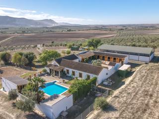 Casa  Plaza meneses. Excepcional hacienda andaluza cerca de morn de la frontera