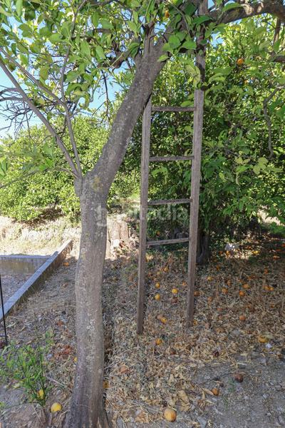 Foto 5d6177a6-d372-45a1-899e-0e1092217f8d. Maison dans Alozaina