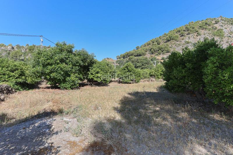 Foto b7061b5b-c354-4484-8c70-929c28cc54a9. Maison dans Alozaina