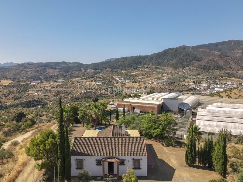 Foto 67b033bd-0990-48f0-95ef-fbe14711a6e4. Casa amb piscina a Tolox