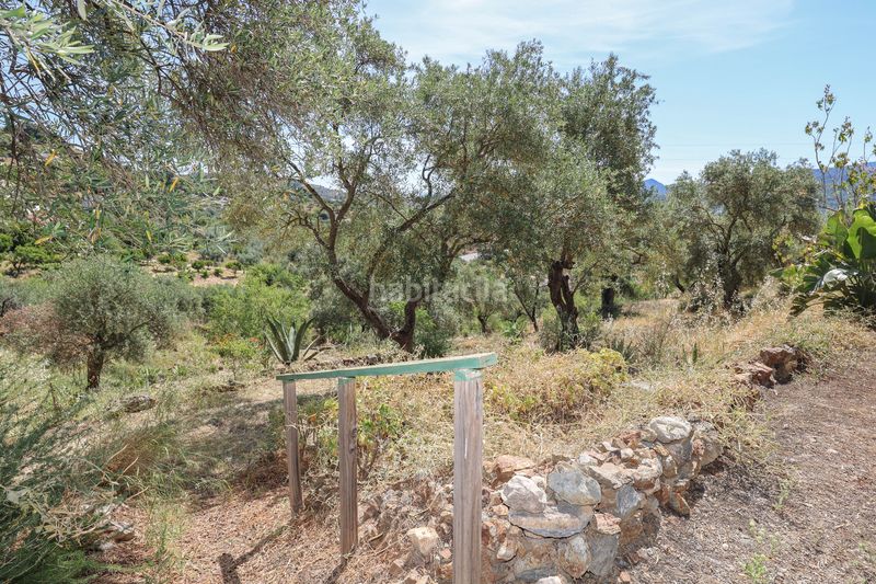 Foto f172fb99-8caa-4425-aa74-ba362cd39624. Casa amb aparcament piscina a Monda