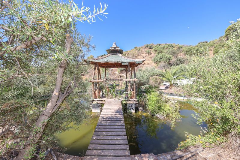 Foto 0bab8361-d5aa-4e30-aa18-cc00dbb698e9. Casa amb xemeneia aparcament piscina a Monda