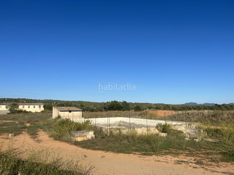 Foto a829c20f-a244-4431-ab8d-3909792f021d. Finca rústica a carrer de sa creu 13 a Campos poble Campos