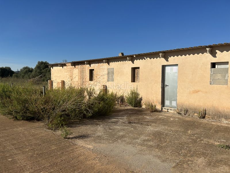 Foto b1ba4cfd-272d-4734-94bd-ec27c8ea25f0. Finca rústica a carrer de sa creu 13 a Campos poble Campos