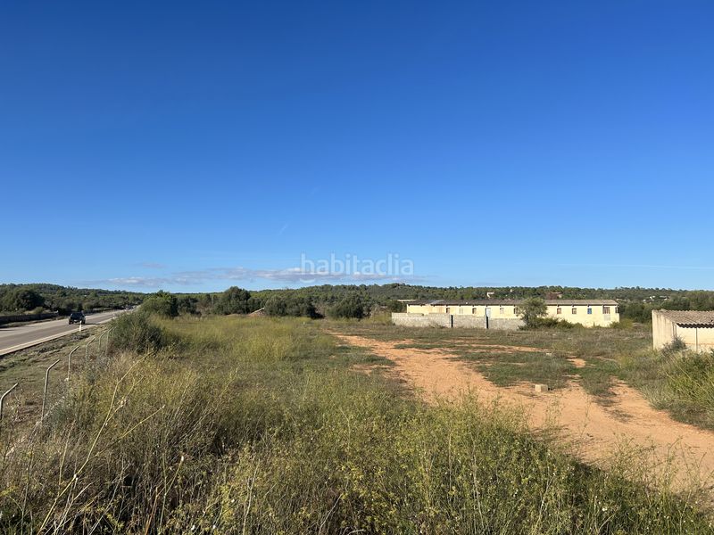 Foto e49f973e-8b48-40ac-9860-2474e507a228. Finca rústica a carrer de sa creu 13 a Campos poble Campos