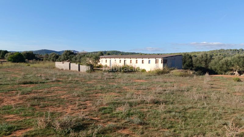 Foto e60af092-cae5-4b2a-a38c-a233aae4f516. Finca rústica a carrer de sa creu 13 a Campos poble Campos
