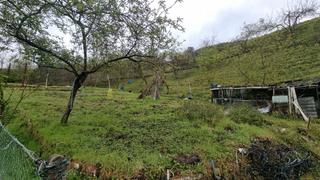 Finca rústica  N/a. Finca rúst. venta el entrego, san martin del rey aurelio