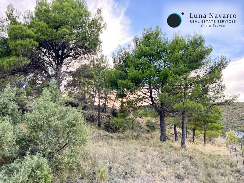 Foto 44f9ca38-342d-4a4c-b83d-e2f334cd42f5. Finca rústica a calle san antonio 50 a Confrides