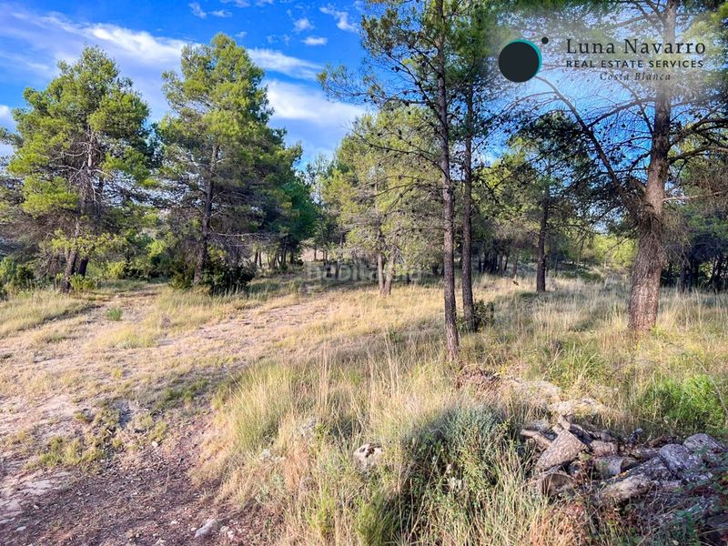 Foto a16d0f95-6dd5-43d9-bcc7-e5bd588cc943. Finca rústica a calle san antonio 50 a Confrides