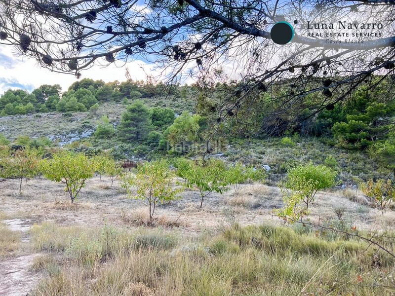 Foto a658e07d-32d9-4176-a1d8-ac9daf50d2b6. Finca rústica a calle san antonio 50 a Confrides