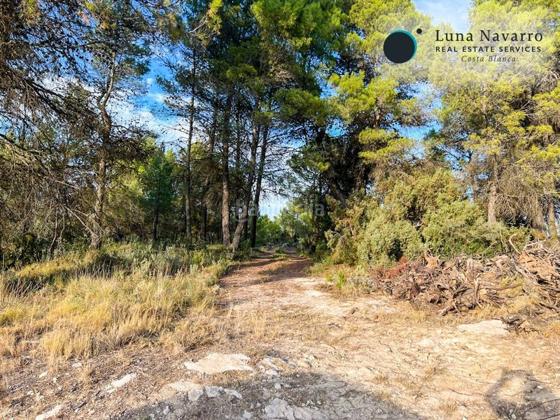 Foto d023d604-b589-4ca3-9a47-5de4a02f32a1. Finca rústica a calle san antonio 50 a Confrides