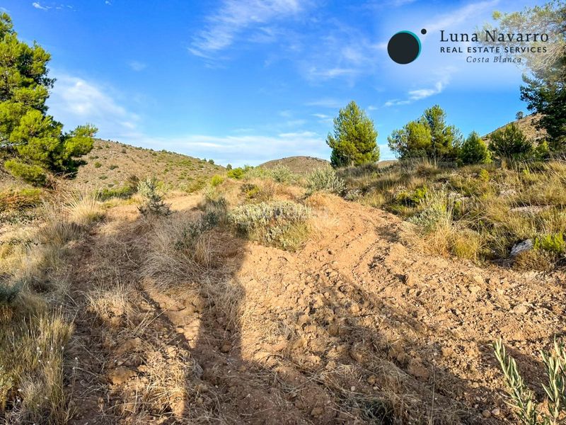 Foto e7c36ce9-1a0b-49aa-9e23-3346e83a9325. Finca rústica a calle san antonio 50 a Confrides