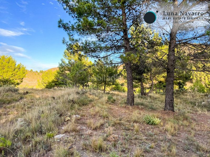 Foto f2b07a89-d4f4-46f6-98ed-d868deabd545. Finca rústica a calle san antonio 50 a Confrides